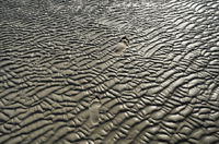 ©2012 Andy Wainwright